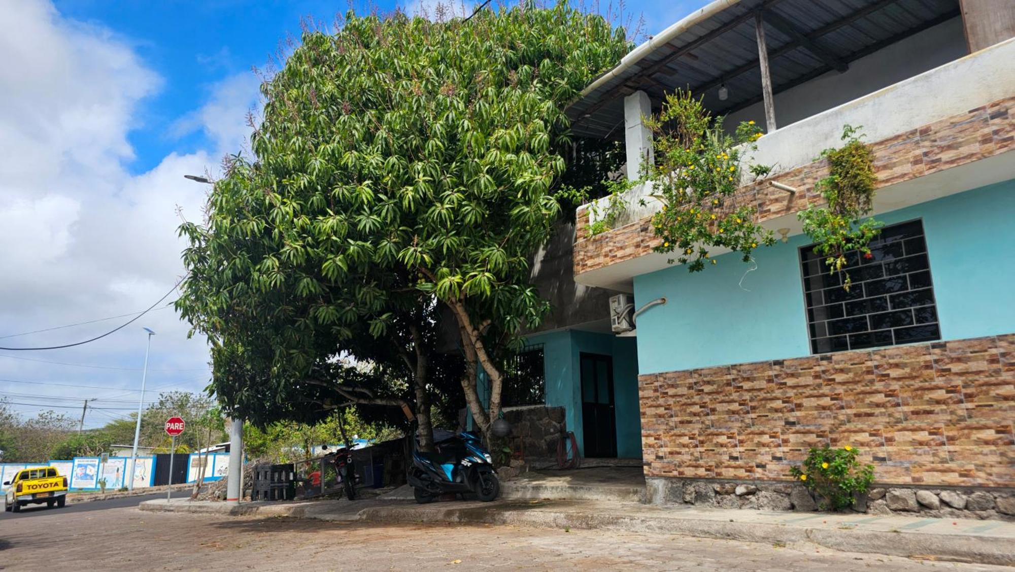 Appartamento Flor'S House San Cristóbal Esterno foto